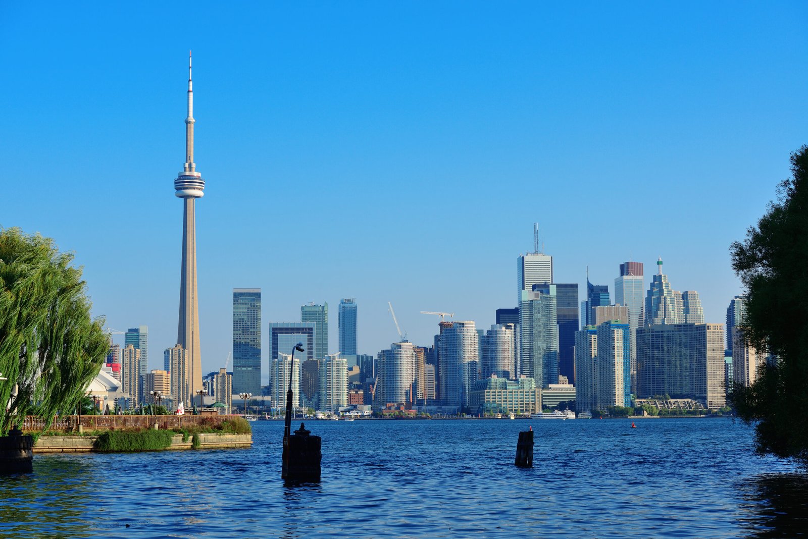 Toronto skyline in the day over lake with urban architecture viewed from park